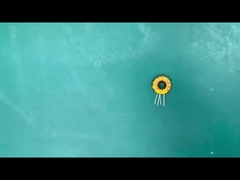 Μαγνητικός δακτύλιος 4.7uH±20% Vertical Wound Double Wire Ferrite Toroidal Inductor